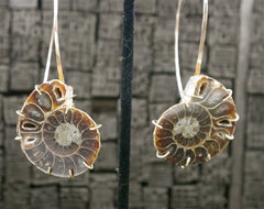 Melissa Joy Manning 14K Yellow Gold Ammonite Earrings