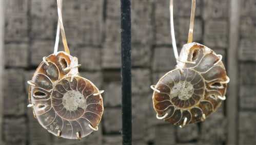 Melissa Joy Manning 14K Yellow Gold Ammonite Earrings