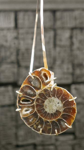 Melissa Joy Manning 14K Yellow Gold Ammonite Earrings