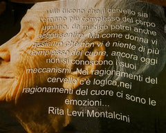 Faliero Sarti "Emozioni" Love Quote Scarf