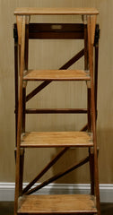 Fruitwood Library Steps 19th Century Ladder