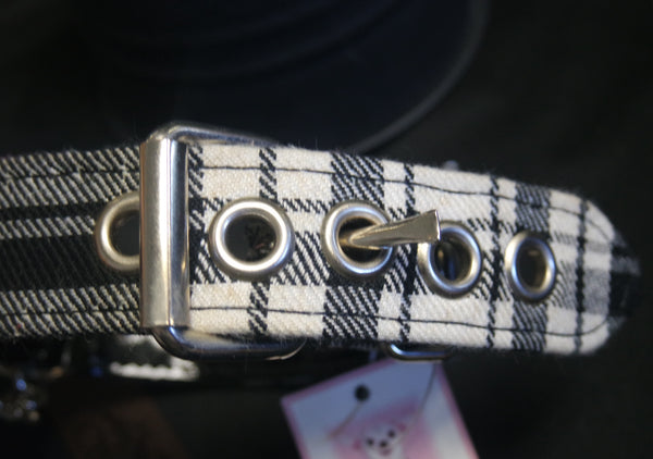 Doggie Dog "Punk" Dog Collar